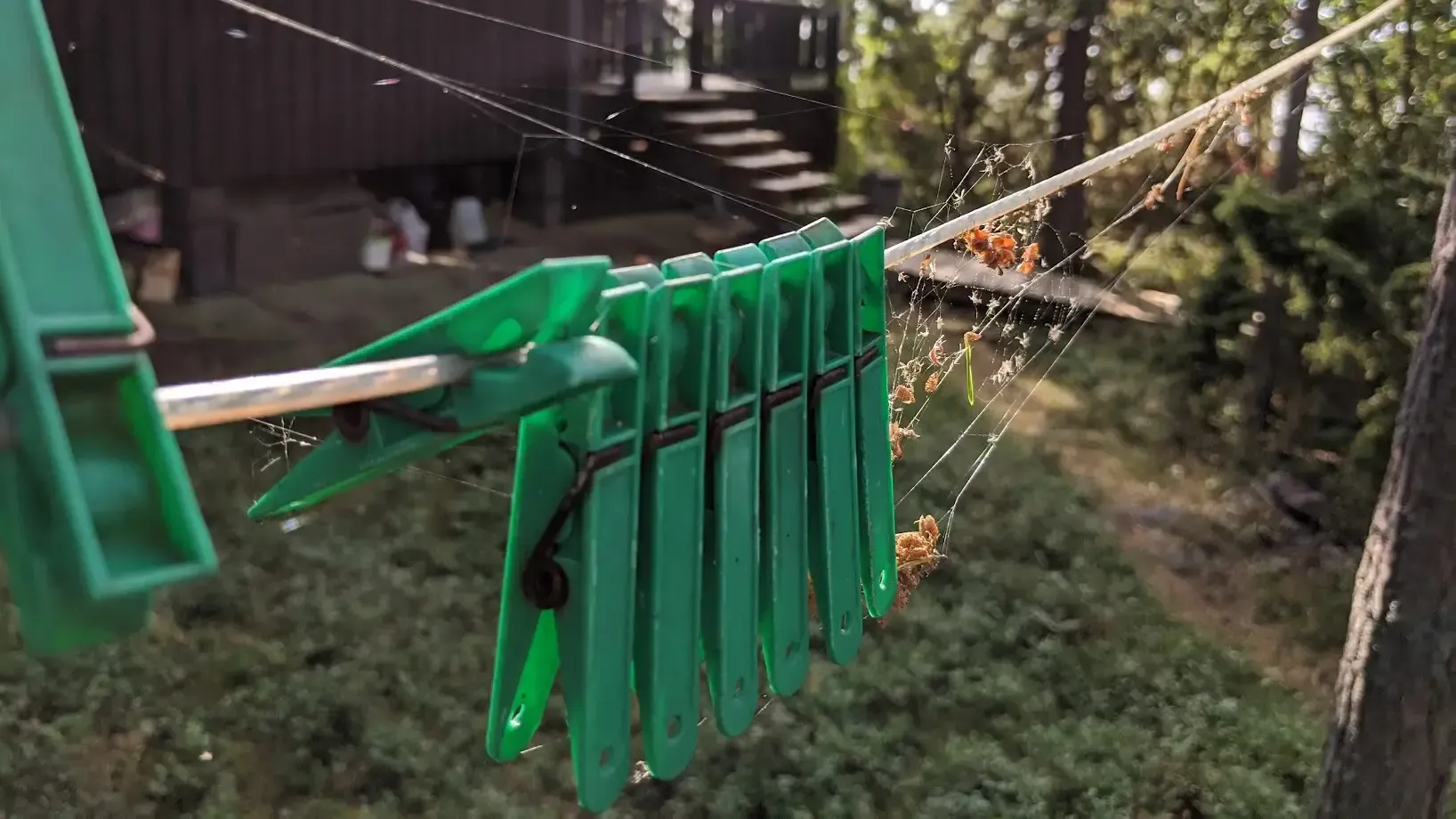 Management Fallacies: The project mode override