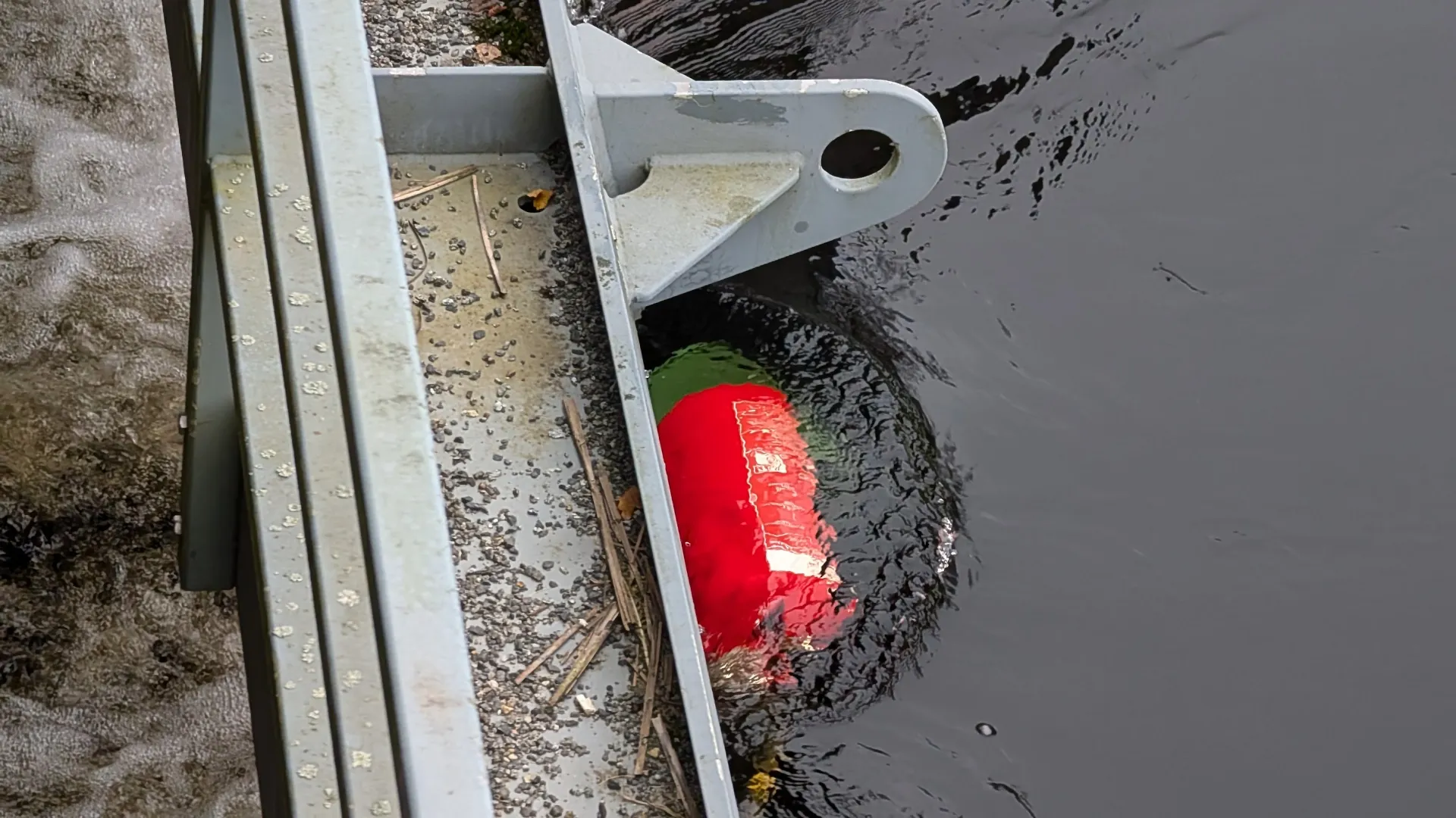 Tech: Where the AI is taking us