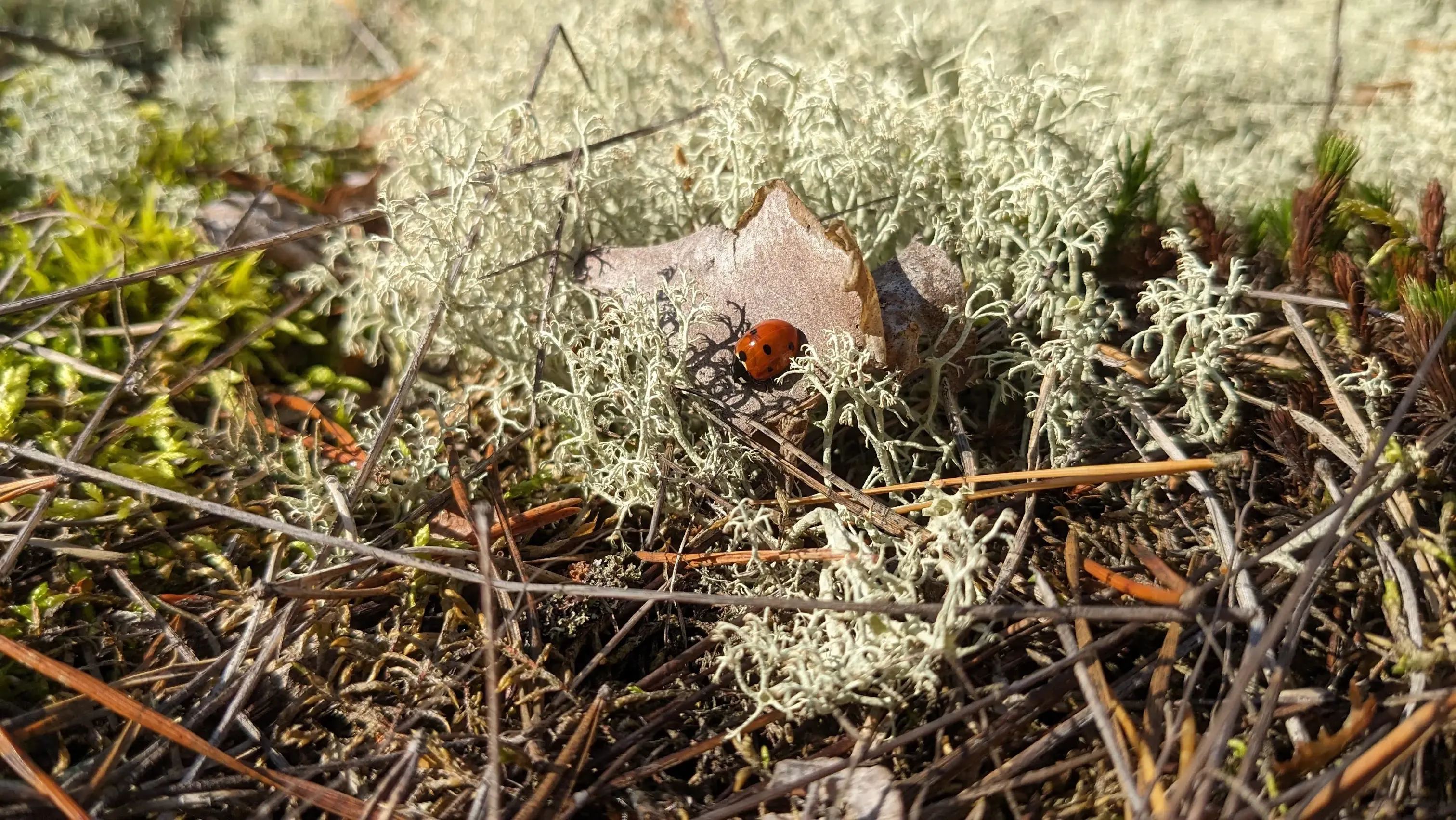 On Importance of Writing