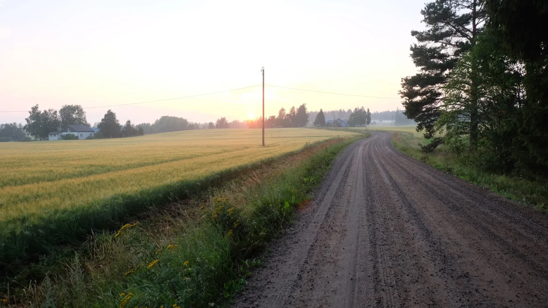 Tech: Unpacking the Digital DNA of Social