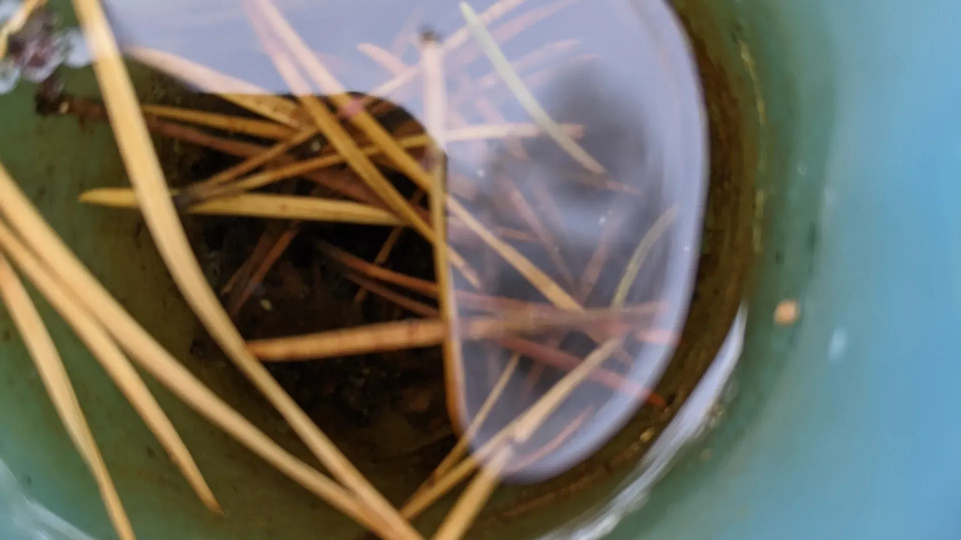 Biz: The curse of cycles