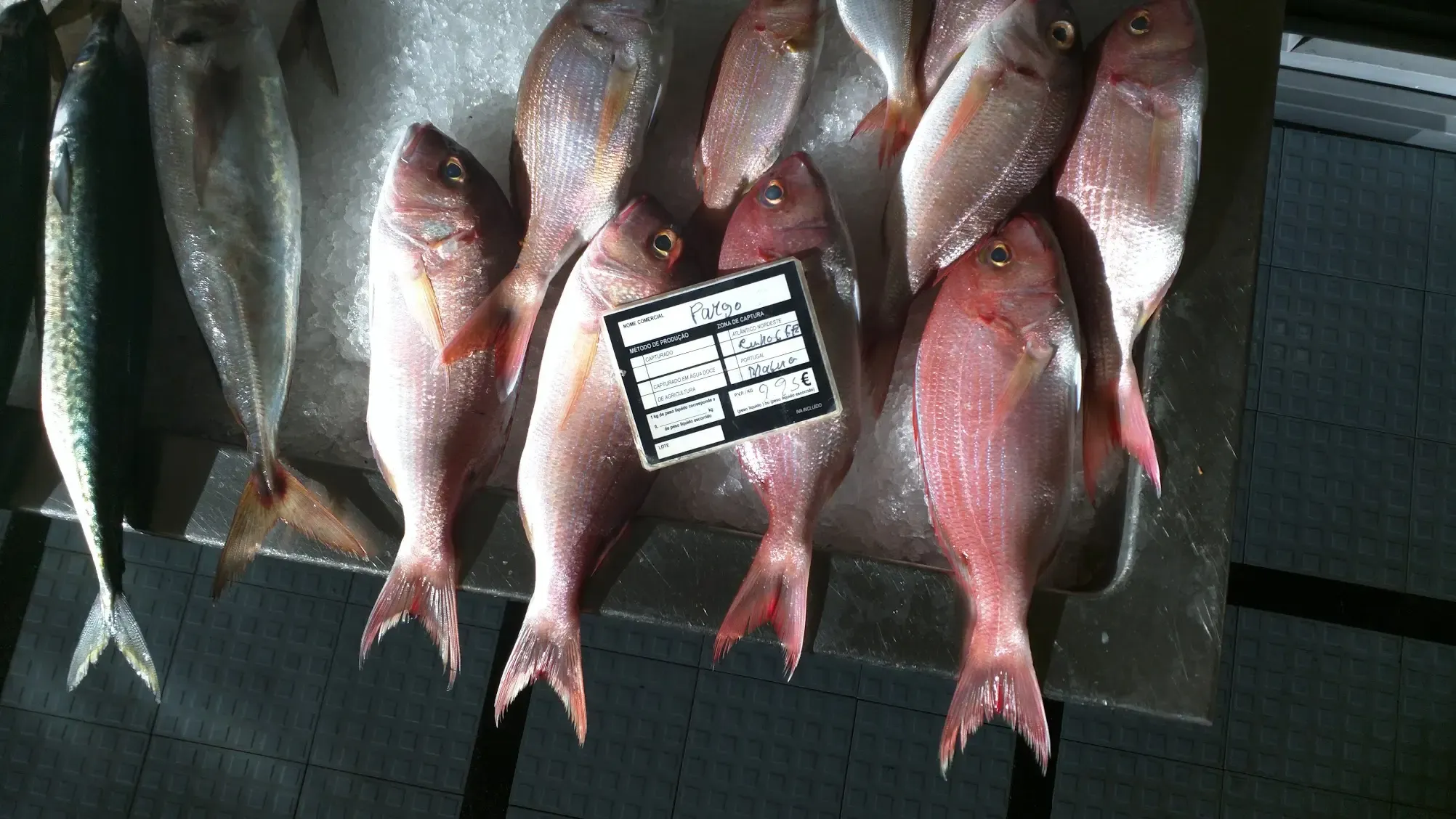 Tech: The Age of Stochastic Parrots