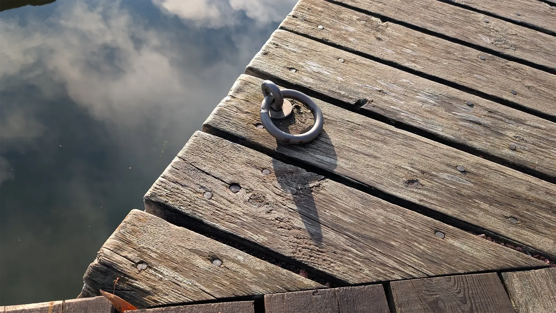 Mgmt: In search of the wave?