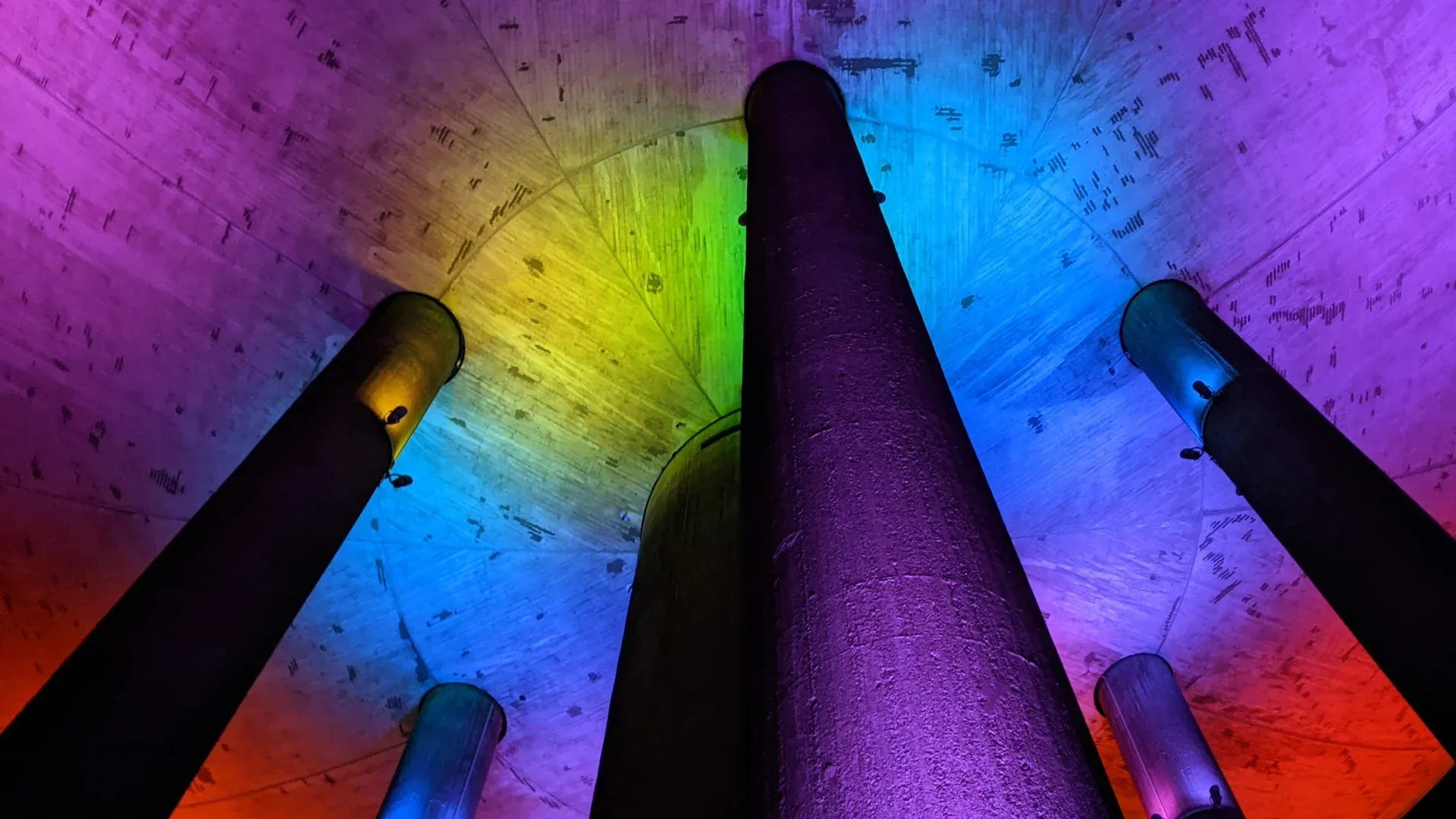 Biz: The brave new future of careers?