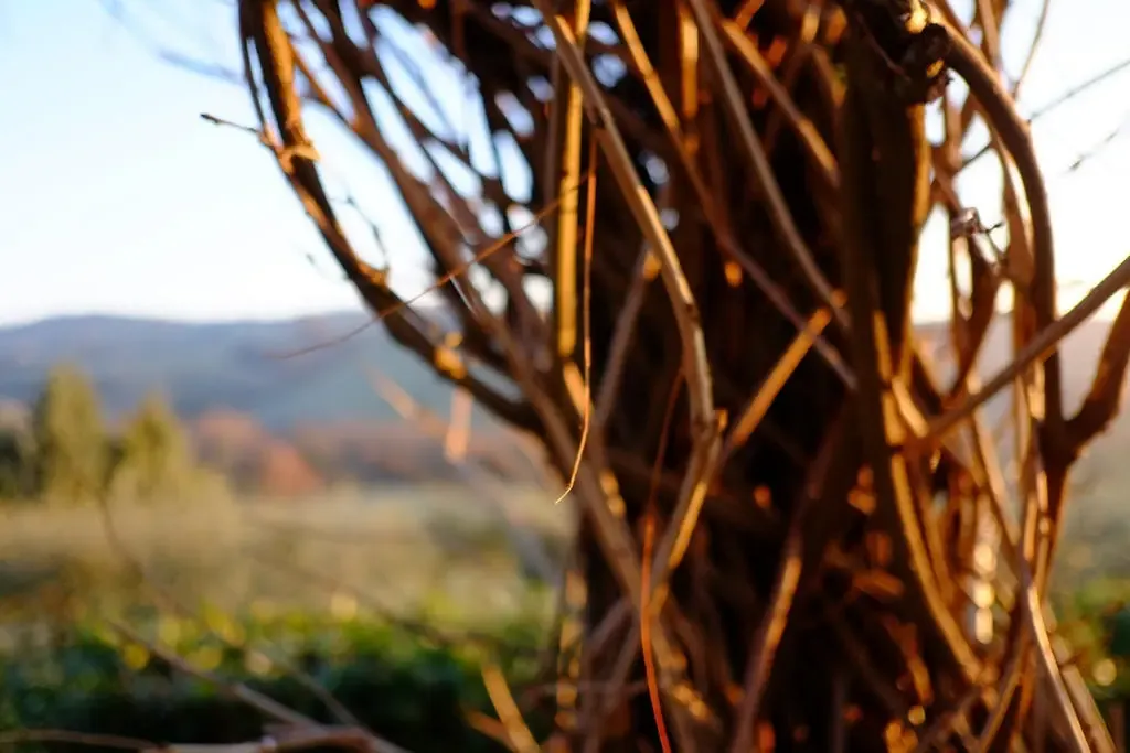 Strategy: the things we forget to vocalize