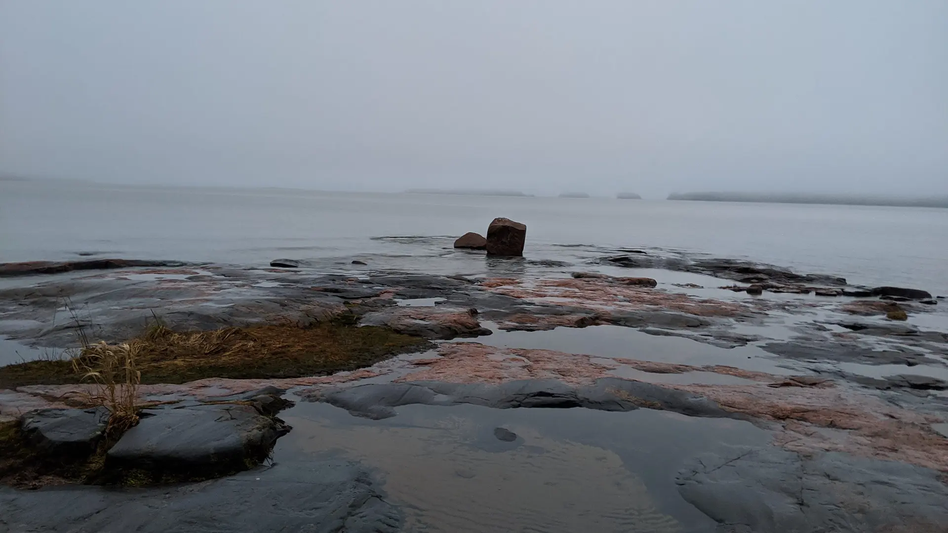 Tech: Echoes of Winters Past?